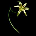 Img.VTax3590.ExN.Img9