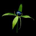 Img.VTax3594.ExN.Img12