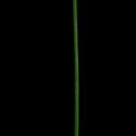Img.VTax3616.ExN.Img7