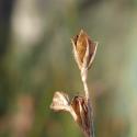 Img.VTax3666.ExN.Img4