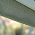 Img.VTax3732.ExN.Img4