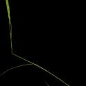 Img.VTax3885.ExN.Img3