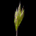 Img.VTax4028.ExN.Img9