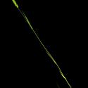 Img.VTax4031.ExN.Img10