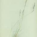 Img.VTax4068.ExN.Img6