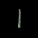 Img.VTax4068.ExN.Img7