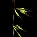 Img.VTax4169.ExN.Img6