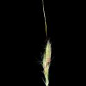 Img.VTax4206.ExN.Img9