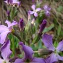 Img.VTax1058.ExN.Img3