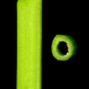Img.VTax1108.ExN.Img7