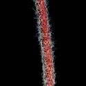 Img.VTax1243.ExN.Img8