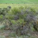 Img.VTax1480.ExN.Img2