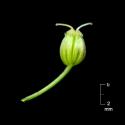 Img.VTax1539.ExN.Img8