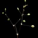 Img.VTax1976.ExN.Img9