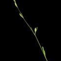 Img.VTax2023.ExN.Img7