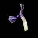 Img.VTax2407.ExN.Img9