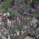 Img.VTax2708.ExN.Img6