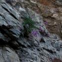 Img.VTax2903.ExN.Img9