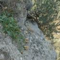 Img.VTax3285.ExN.Img9