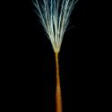 Img.VTax3313.ExN.Img7