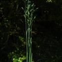Img.VTax4114.ExN.Img15