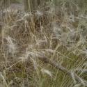 Img.VTax4120.ExN.Img3