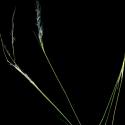 Img.VTax4120.ExN.Img5