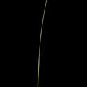 Img.VTax4128.ExN.Img3