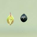 Img.VTax1809.ExN.Img8