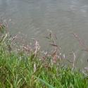 Img.VTax1818.ExN.Img6