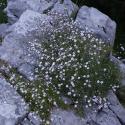 Img.VTax2029.ExN.Img7