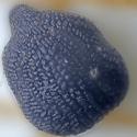 Img.VTax2042.ExN.Img16