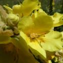 Img.VTax2584.ExN.Img14