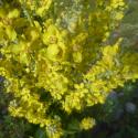 Img.VTax2588.ExN.Img40