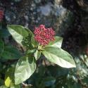 Img.VTax2866.ExN.Img38