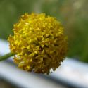 Img.VTax3085.ExN.Img7