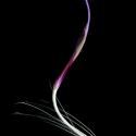 Img.VTax3225.ExN.Img8