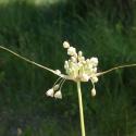 Img.VTax3584.ExN.Img4