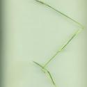 Img.VTax4093.ExN.Img10