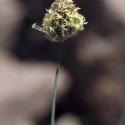 Img.VTax4094.ExN.Img3