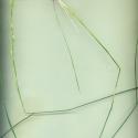 Img.VTax4122.ExN.Img3