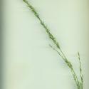 Img.VTax4146.ExN.Img10