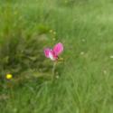 Img.VTax679.ExN.Img9