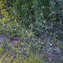 Img.VTax681.ExN.Img15