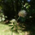 Img.VTax770.ExN.Img9