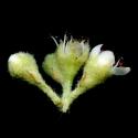 VTax4768.Ex1_.Img7_.jpg