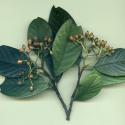 VTax4768.Ex1_.Img8_.jpg