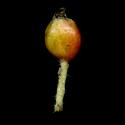 VTax4768.Ex1_.Img9_.jpg