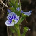 VTax4765.Ex1_.Img1_.JPG