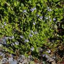 VTax4765.Ex1_.Img4_.JPG